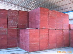 建筑用全本松膠合板