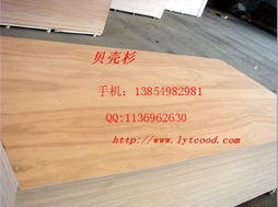 供應carb e0貝殼杉面多層家具板