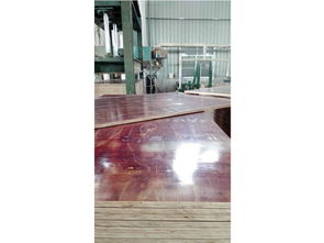 專業(yè)膠合板與全桉木苯酚面膜板 物超所值的建材選擇及廠家供應(yīng)優(yōu)勢(shì)